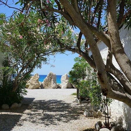 Villaggio Paradiso Del Sub Zambrone Εξωτερικό φωτογραφία